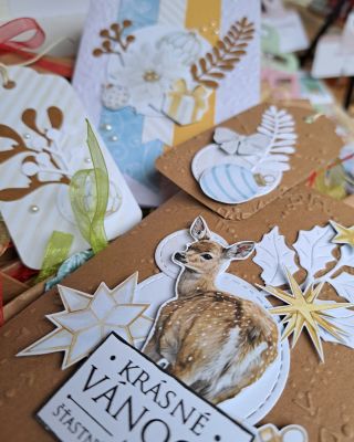 Dnes jsme my i náš vánoční sortiment na kouzelných vánočních trzích na zámku v Brandýse nad Labem. Kromě tradičních...