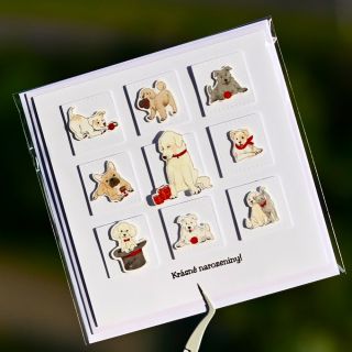 Přání k narozeninám pro majitele chlupatých rodinných příslušníků vytváříme moc rády 🐩 A s papíry od @alexandrarenke je...